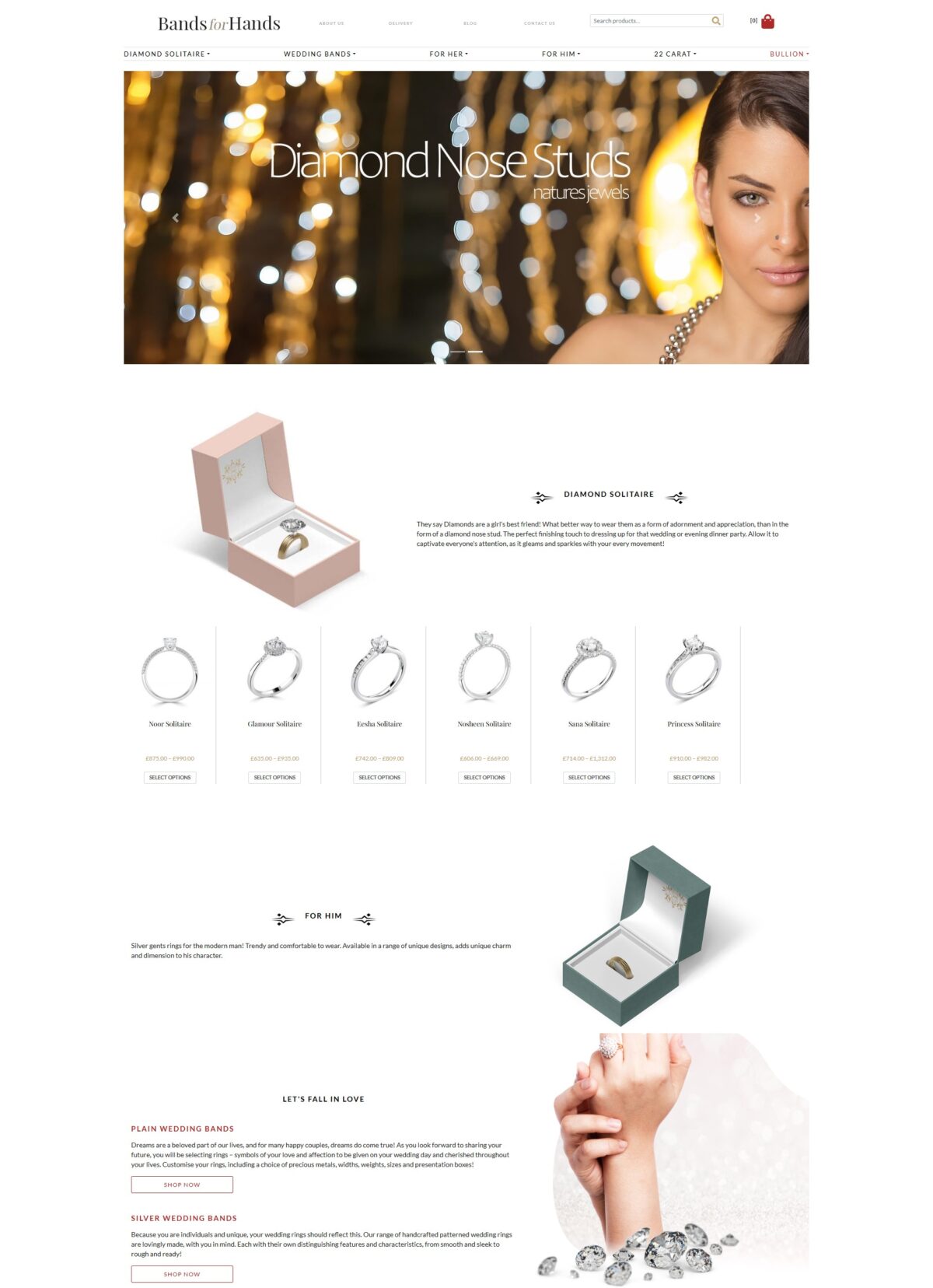 Bands for Hands Website Mockup